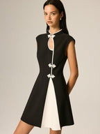 Frog Button Color Block A-Line Dress